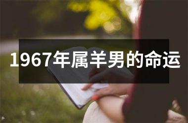 <h3>1967年属羊男的命运