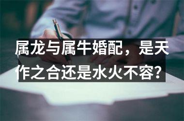 <h3>属龙与属牛婚配，是天作之合还是水火不容？