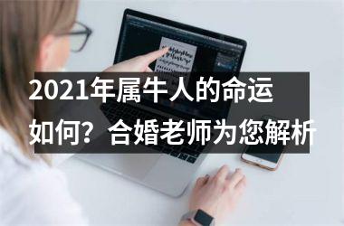 2025年属牛人的命运如何？合婚老师为您解析