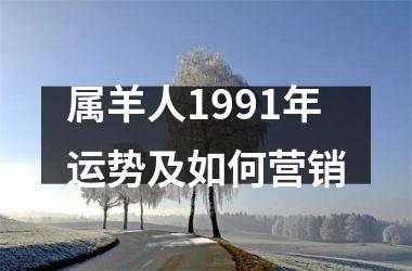 属羊人1991年运势及如何营销