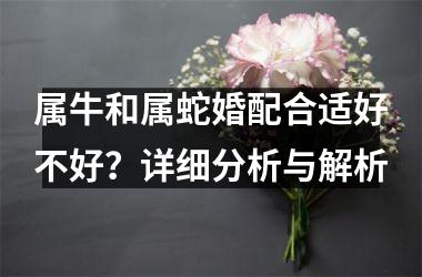 <h3>属牛和属蛇婚配合适好不好？详细分析与解析