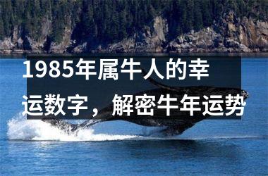 <h3>1985年属牛人的幸运数字，解密牛年运势