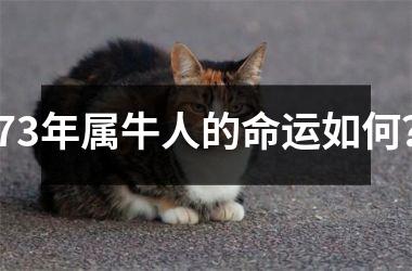 <h3>73年属牛人的命运如何？