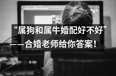 <h3>“属狗和属牛婚配好不好”——合婚老师给你答案！