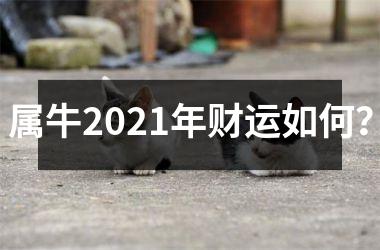 <h3>属牛2025年财运如何？