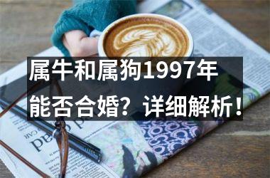 属牛和属狗1997年能否合婚？详细解析！