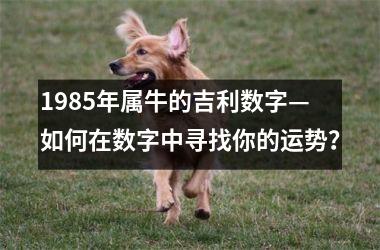 <h3>1985年属牛的吉利数字—如何在数字中寻找你的运势？