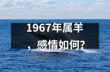 <h3>1967年属羊，感情如何？