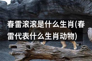 <h3>春雷滚滚是什么生肖(春雷代表什么生肖动物)