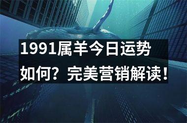 1991属羊今日运势如何？完美营销解读！