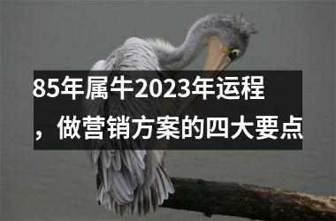<h3>85年属牛2025年运程，做营销方案的四大要点