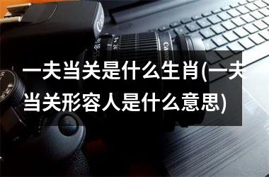 <h3>一夫当关是什么生肖(一夫当关形容人是什么意思)