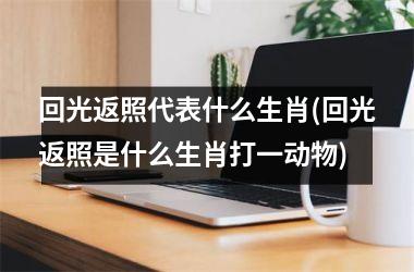 <h3>回光返照代表什么生肖(回光返照是什么生肖打一动物)