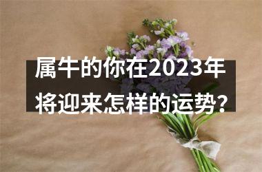 <h3>属牛的你在2025年将迎来怎样的运势？