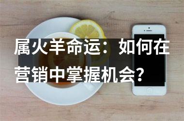 属火羊命运：如何在营销中掌握机会？