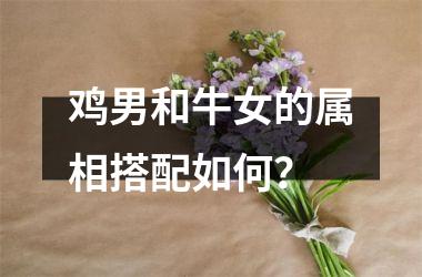 鸡男和牛女的属相搭配如何？