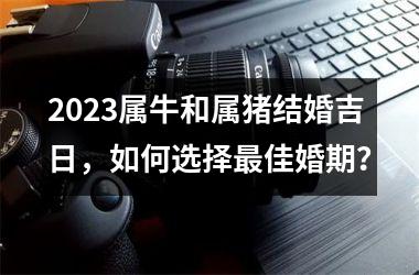 <h3>2025属牛和属猪结婚吉日，如何选择佳婚期？