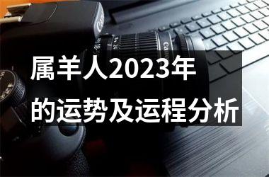 <h3>属羊人2025年的运势及运程分析