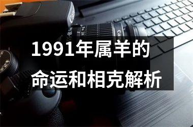 <h3>1991年属羊的命运和相克解析