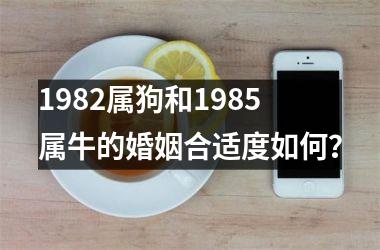 1982属狗和1985属牛的婚姻合适度如何？