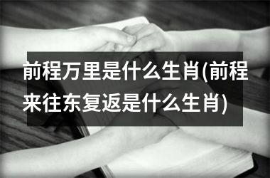 <h3>前程万里是什么生肖(前程来往东复返是什么生肖)