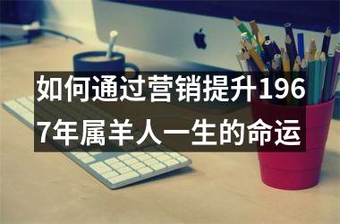 <h3>如何通过营销提升1967年属羊人一生的命运