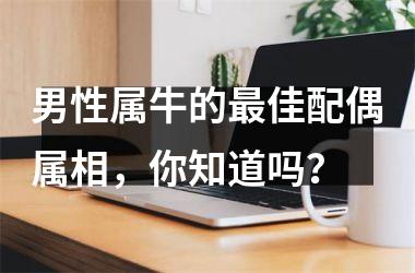 <h3>男性属牛的佳配偶属相，你知道吗？