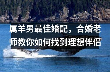 <h3>属羊男佳婚配，合婚老师教你如何找到理想伴侣