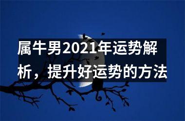 <h3>属牛男2025年运势解析，提升好运势的方法