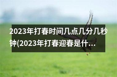 <h3>2025年打春时间几点几分几秒钟(2025年打春迎春是什么时候)