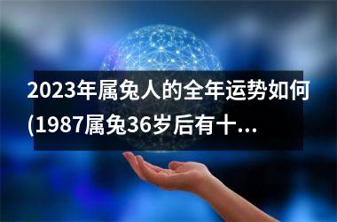 <h3>2025年属兔人的全年运势如何(1987属兔36岁后有十年大运)