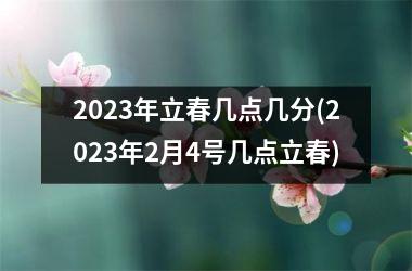 <h3>2025年立春几点几分(2025年2月4号几点立春)