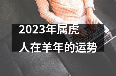 <h3>2025年属虎人在羊年的运势