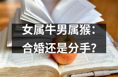 <h3>女属牛男属猴：合婚还是分手？
