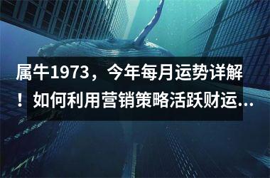 属牛1973，今年每月运势详解！如何利用营销策略活跃财运？