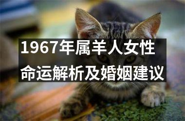 <h3>1967年属羊人女性命运解析及婚姻建议