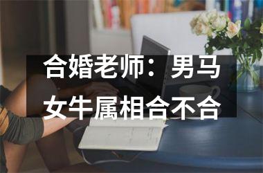 <h3>合婚老师：男马女牛属相合不合