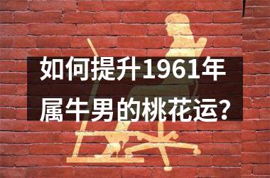 如何提升1961年属牛男的桃花运？