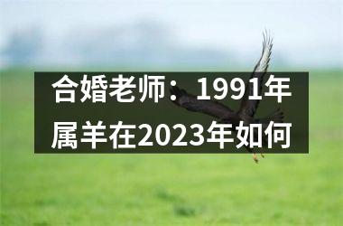 合婚老师：1991年属羊在2023年如何