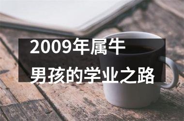 2009年属牛男孩的学业之路