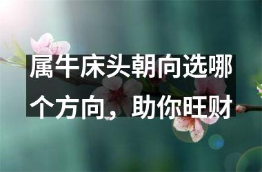 <h3>属牛床头朝向选哪个方向，助你旺财