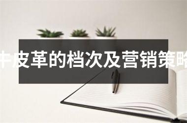 牛皮革的档次及营销策略