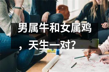 <h3>男属牛和女属鸡，天生一对？