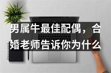 男属牛佳配偶，合婚老师告诉你为什么