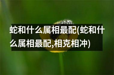 蛇和什么属相配(蛇和什么属相配,相克相冲)