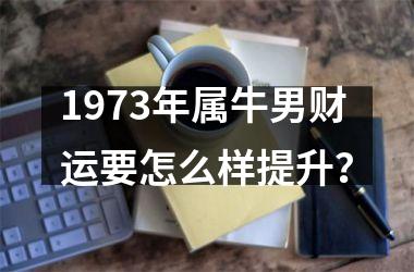 <h3>1973年属牛男财运要怎么样提升？