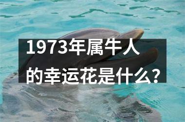 <h3>1973年属牛人的幸运花是什么？