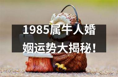 <h3>1985属牛人婚姻运势大揭秘！