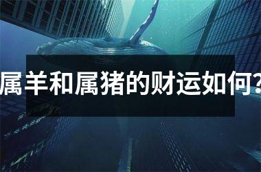 <h3>属羊和属猪的财运如何？
