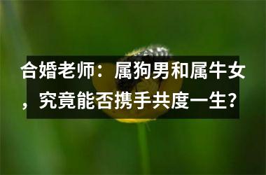 <h3>合婚老师：属狗男和属牛女，究竟能否携手共度一生？